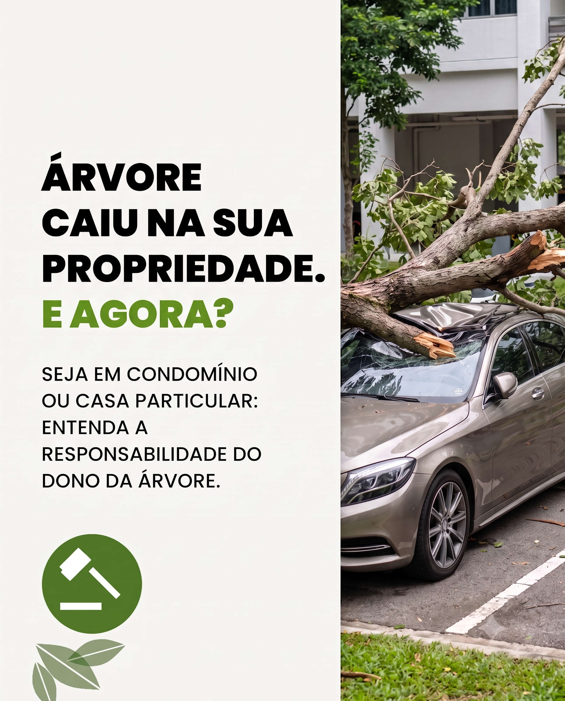 Dica